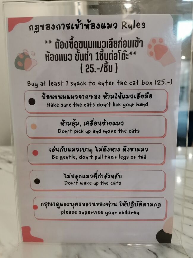 Little Paw Cafe Chiangrai <br /><br />猫のお部屋に入るのに1人一本ちゅーるを買わないとダメです。<br />25B