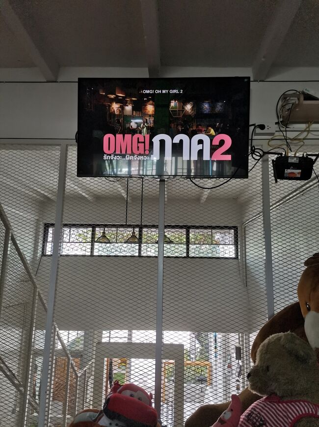 Stayin hostel Chiangrai <br />ステイイン　ホステル　チェンライ<br /><br />なんと、前情報にはなかったネットフリックスが見れる！<br />イエーイ。<br />どんだけネットフリックス好きなんだ（笑）<br /><br />シリーズものは一泊しかしないから見切れないかもしれないから、<br />とりあえず映画をチョイス。<br />タイの映画。<br />OMG Oh girl<br />あんまり面白くなかった。残念