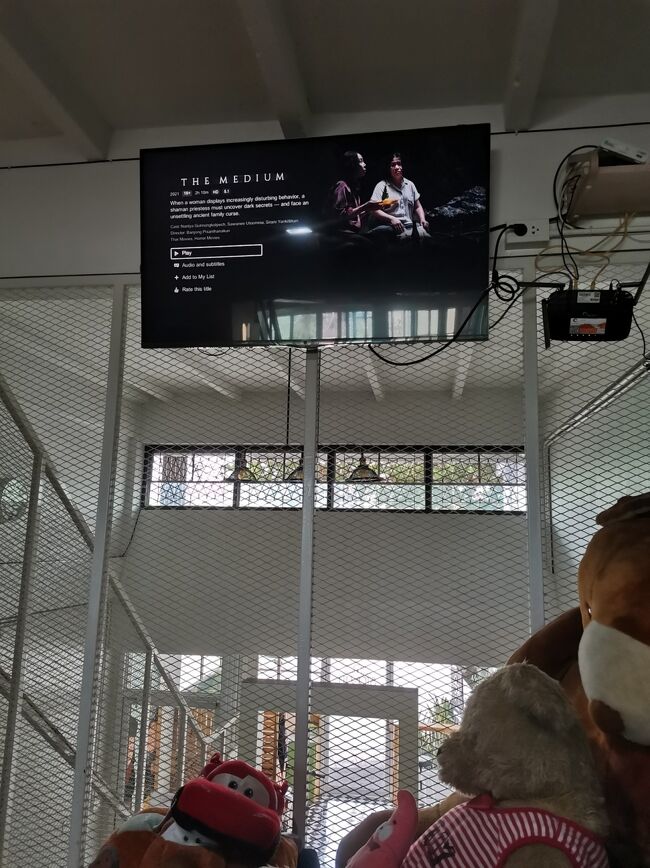 Stayin hostel Chiangrai <br />ステイイン　ホステル　チェンライ<br /><br />次は日本でも結構話題になった<br />「女神の継承」<br />私、ホラーとか宇宙人とかゾンビとか大嫌いなんだけど、<br />話題作だったしタイドラマだったしと言う事で視聴。<br />うーん、うーん。<br />好きな人にはハマるかもしれないけど、<br />私には一才ハマる要素なく。<br />でも女優さんが体を張った演技をしていてすごいなぁとは思った。<br />日本の女優さんでこれが演じられる人いるかな？<br />沢尻さんの復帰作にどうかしら？