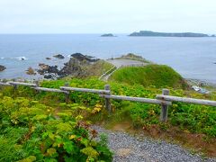 レンタカーでまずは礼文島、最北部の「スコトン岬」に。今日は、曇りで残念です。