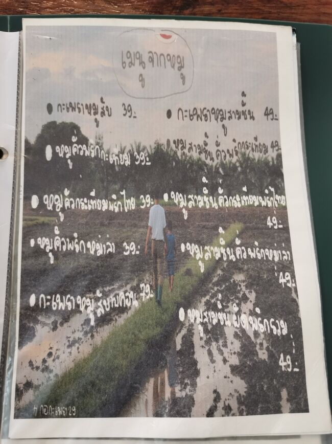 Kapow_29 chiangrai <br />ガパオ29 チェンライ<br /><br />ひき肉のガパオが39B（160円）って安い！