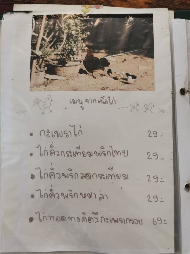 Kapow_29 chiangrai <br />ガパオ29 チェンライ<br /><br />鶏肉のガパオ29B