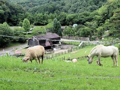 ものすご～く真剣に牧草を食べているので、見向きもしてくれない