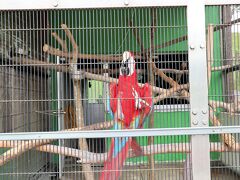 鞍ケ池公園動物園