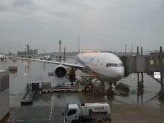 無事帰国。
羽田空港は雨でした。
税関申告は、紙でスムーズに通過しました。

最後までお読みいただき、ありがとうございました。