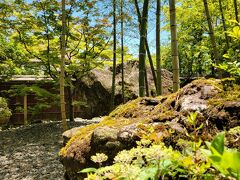 湿性花園から箱根登山バスで移動
箱根美術館
庭園には大きな岩が沢山あります