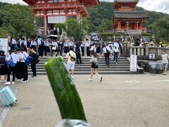 2023.6.16　金　AM9：15　清水寺　
川勝総本家で買った　きゅうり250円
--------------------------------------
https://www.kiyomizudera.or.jp/　　　（公式HP)
開門時間AM6:00　～　PM18:30（季節により変動有り）
京都市東山区清水1丁目294　
