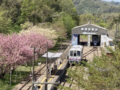 あまてらす鉄道にも行ってみました
八重桜と電車が素敵