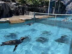 のとじま水族館