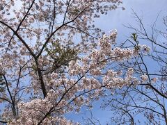 5月3日（水・祝）

札幌からやってきたYツーリストさんを室蘭駅でお迎えし、愛車スバルちゃんでGO

桜の名所、有珠善光寺に寄ってみた。