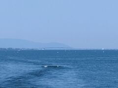 遠くに琵琶湖大橋