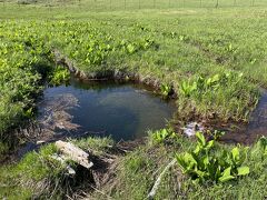 尾瀬ヶ原には、水が流れ込むだけの池と流れ出るだけの池がある。いずれも水が溢れたり枯れたりしないのは、池と池が地下で繋がっているためで、それを「龍宮」といいます。見た目ではわかりませんが・・