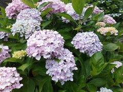 和歌山県植物公園緑花センター