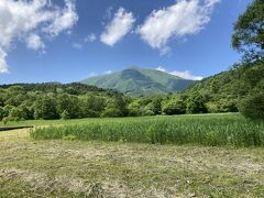 飯綱高原の大谷地湿原から見た、飯綱山。
湿原ではあやめが咲いていました。