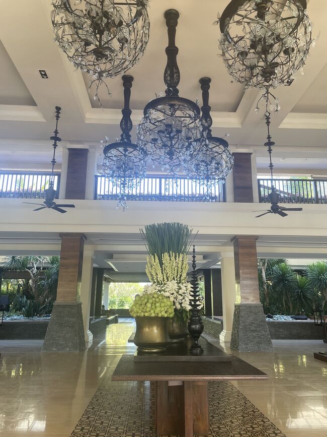 ロビーのお花は<br />日本で言う風船葛？？