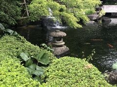 ランチ後に先ずは長谷寺にやって来ました。
