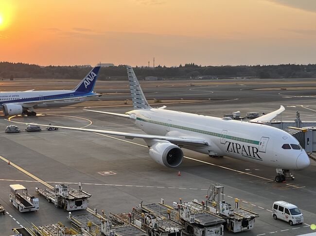 ZIPAIRで行くひさびさハワイ① 「初めてのLCC?」』ホノルル