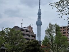 ▲▽横網町公園▽▲
スカイツリーが見えた。
