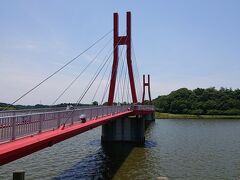 道の駅でお弁当を買って北潟湖湖畔公園で昼食としました。写真撮り忘れました。
アイリス橋を渡ります。