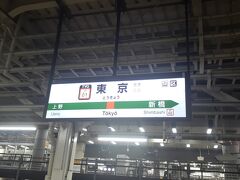 　東京駅には19時43分頃に到着しました。