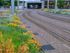 朝も散歩に出る。路面電車は始発前の富山駅。