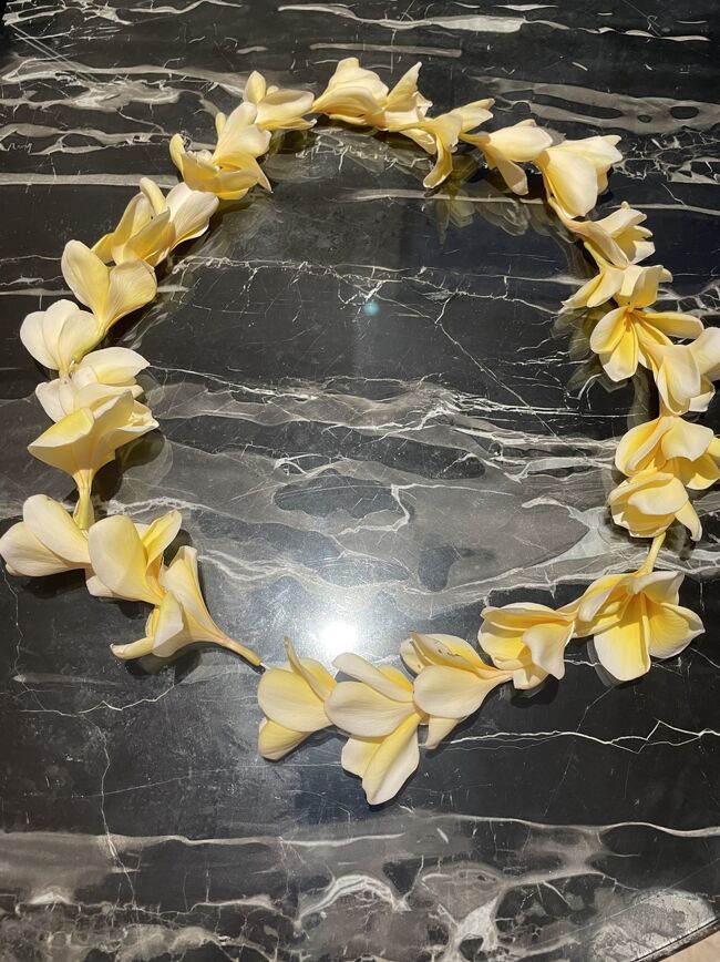 到着時に首にかけてもらったレイ。