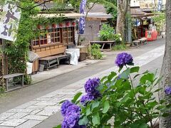 そば屋や土産物屋が並ぶ参道と紫陽花
