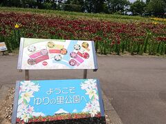 ゆりの里公園に来ました。11：50