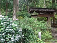 浄智寺にやってきた

鎌倉五山の第四位。
参道の前にはアジサイが。
石段は鎌倉石。

