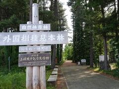 三浦綾子記念文学館へ