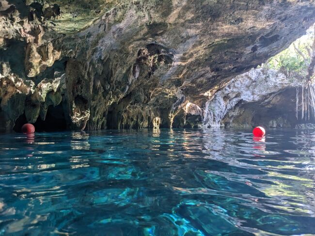 ガイドさんについてセノーテに入っていきます。<br />水が冷たい！って最初は感じたけど、すぐに慣れました。<br />水の透明度がすごい！！<br />一番に入れるから、この透明度だとガイドさんが教えてくれました。<br />水に入る人が増えてくると透明度が落ちるみたい。