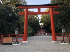 ようやく下鴨神社に到着。
ずっと歩いてきたことと、まだお酒が残っていたことから、腰を下ろしたらウトウトしてしまいました。
気付いたら午後4時過ぎ、急いでタクシーで京都駅に戻ります。