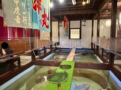天然海水いけす海陽亭