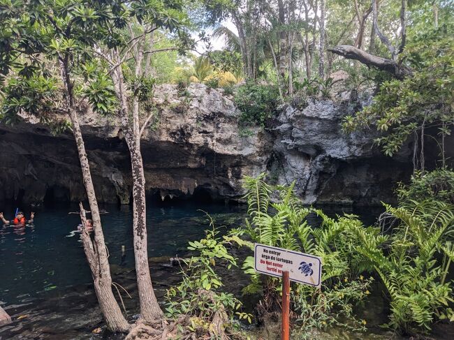 20～30分間くらい泳いでセノーテを探検したかな。<br />上がるころには、他のツアー客がどんどん来ていました。<br />きれいなセノーテが見たいなら、一番に行けるツアーがおすすめ。<br />車に戻り、ガイドさんが真水を頭からかけてくれます。<br />トイレで着替えを済ませて次の準備へ。