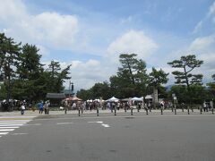 岡崎公園では、蚤の市が開催されてました。神宮道の緑地帯ゾーンは「平安楽市」(ハンドメイド作品)や「R e: 京都博覧会」などのイベントが開催されます。

1895年（明治28年）の内国勧業博覧会跡地に、市の公園として開設されました。美術館、府立図書館、ロームシアター京都、動物園などがある文化ゾーンとなっている。またテニスコート、野球場があります。