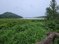 展望台という割に高さがないので浦内川は良く見えません。因みに。浦内川は沖縄県内で最長の河川です。