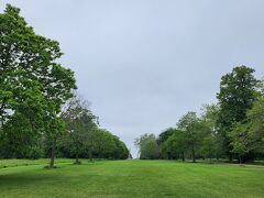 すっごく気持ちのいい公園

離して犬を走らせたり（呼んでも返ってこなくなる犬も）