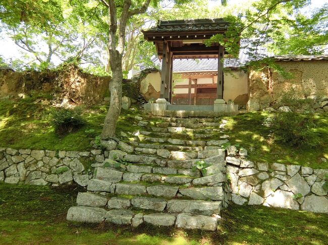 山口歴史探訪 西国一の守護大名大内氏の足跡を訪ねて 1 西の京