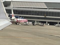 成田にはピンクジンベイが…ラッキー❣️