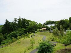 牧野植物園
高知市内にほど近い五台山の山頂に建てられた、高知を代表する植物学者牧野富太郎博士の植物園。朝の連ドラ「らんまん」の視聴率好調で、平日だというのに観光客がひっきりなし。