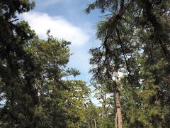天橋立

籠神社の前から府道607号に入り天橋立を渡ります。


天橋立：https://ja.wikipedia.org/wiki/%E5%A4%A9%E6%A9%8B%E7%AB%8B
府道607号：https://ja.wikipedia.org/wiki/%E4%BA%AC%E9%83%BD%E5%BA%9C%E9%81%93607%E5%8F%B7%E5%A4%A9%E3%81%AE%E6%A9%8B%E7%AB%8B%E7%B7%9A