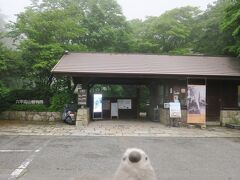 ROKKOガーデンを後にして、隣にある六甲高山植物園にやってきました。