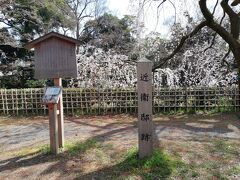 京都駅から京都地下鉄で今出川駅へ移動。
今出川御門から京都御苑に入ると、枝垂桜が咲く近衛邸跡はすぐです。