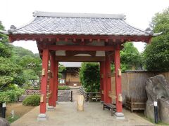 光照寺は観光拝観はしていないというが参拝は可能