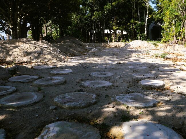 沖縄-8 備瀬のフクギ並木 民家を囲む防風林・南国の木漏れ日
