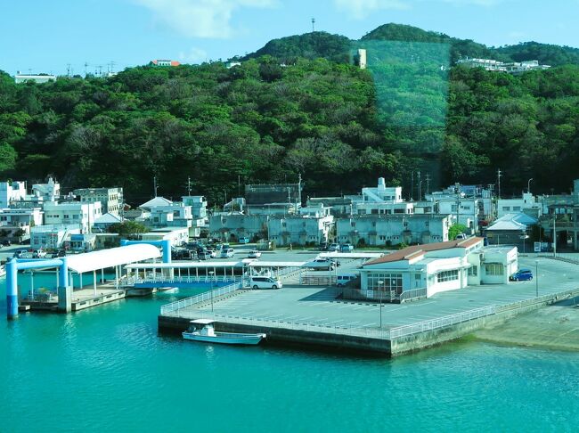 沖縄-8 備瀬のフクギ並木 民家を囲む防風林・南国の木漏れ日