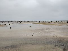 その後は
時折の雨模様でしたので
テキトーにドライブ

まずは佐和田の浜
潮が引ききっていました。