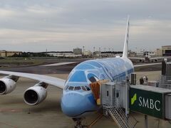 今回は往路は成田空港、復路は羽田の利用です。自宅から1時間で行ける羽田が便利ですが生憎空席がないため往路は成田発となりました。でも成田からはFLYING HONUが運航中です、初めてのA380なのでちょっとうれしい。プレミアムエコノミーなので2階席でした。
ラウンジでビール片手にウミガメ君を観察。
そういえば吉祥寺から成田の高速バスは運休中でした。羽田行は運行していたのでちょっと慌てました。新宿発のNEXを利用。特急券が35%割引きだったのでバスより安くてラッキーでした。