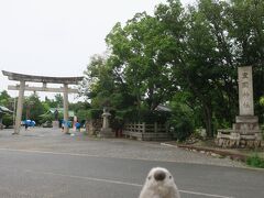 大阪城近くにある豊国神社。主祭神はもちろん豊臣秀吉その人。本社は京都。江戸時代には何せ家康自体が東照大権現として神様になってしまったもので、哀れ秀吉は神号をはく奪され、京都の神社も荒れ放題になっていたようですが、明治期に再整備が行われ、その時大阪城にも分社が設立されたそうです。

ゴエモン「家康と言い秀吉といいどうしてみんな神様になりたがるんだろうね。権力者はあさましいな。」



