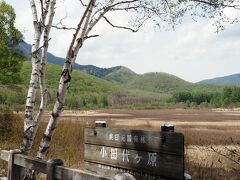 さっそく小田代ヶ原へ